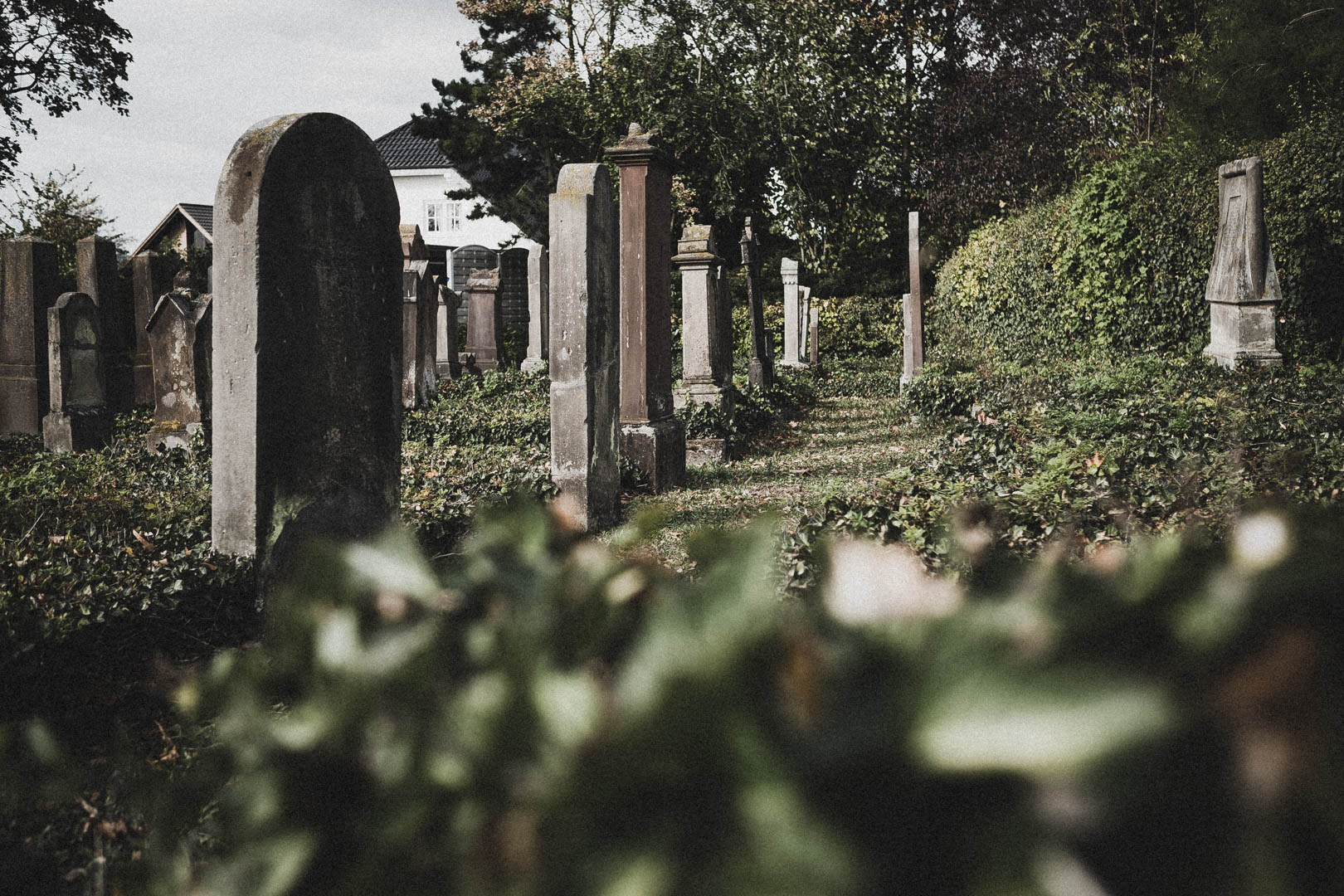 Brakel, Jüdischer Friedhof